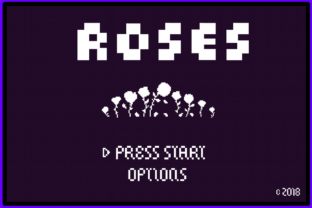 8 Bit Roses: The Nostalgic Display Font for Modern Projects